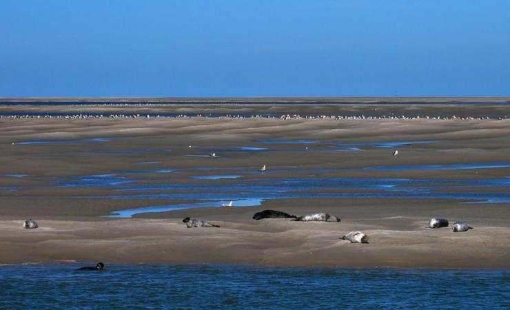 Chez Julian Belle Maison A 20 Minutes De La Baie De Somme Abbeville Ngoại thất bức ảnh